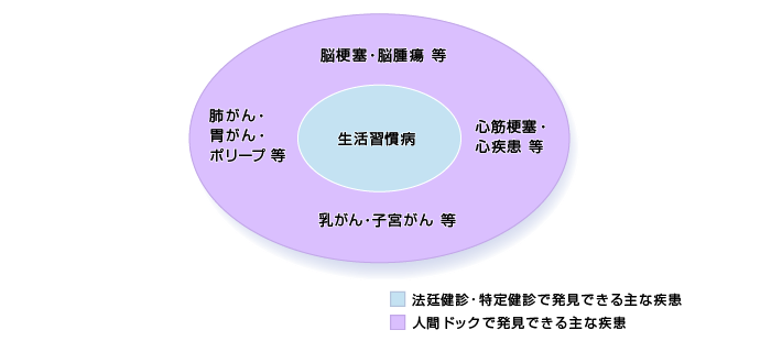 健康診断と人間ドックの違い